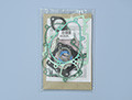 Polini gasket set a/c Thor 200 engine