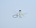 Polini water inlet Thor 202/250/303 lc
