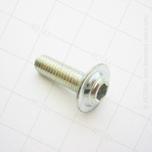 ALLEN SCREW W. ROUNDED FLANGE HEAD M6X20