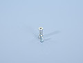 Polini spacer for bracker Thor 80 engine