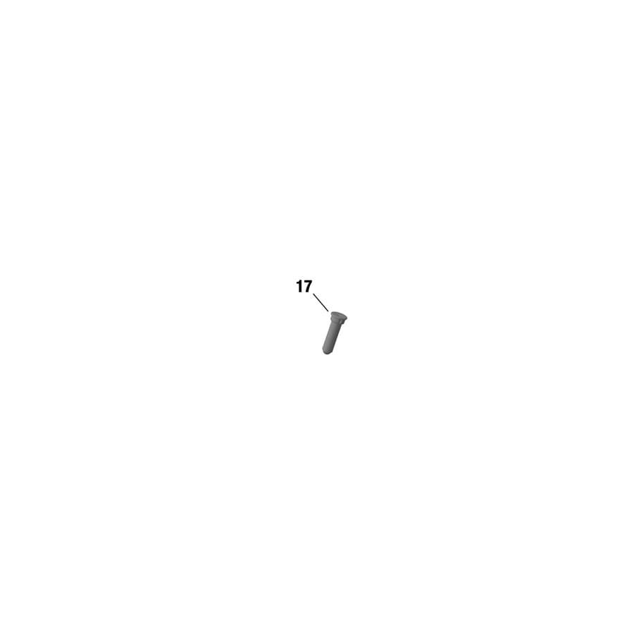 Rotax SHIFT RAIL DETENT PIN