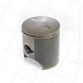 PISTON ASSY. 53,93 MM