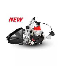 ROTAX 125 MICRO MAX EVO MOTOR