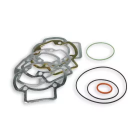 Malossi MHR TEAM tömítés szett (Piaggio LC)