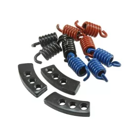 Malossi MHR kuplungrugószett (Fly / Delta kuplungokhoz)