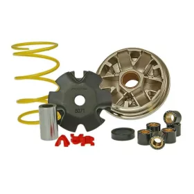 Malossi Multivar variátor (Állóhengeres új Honda)