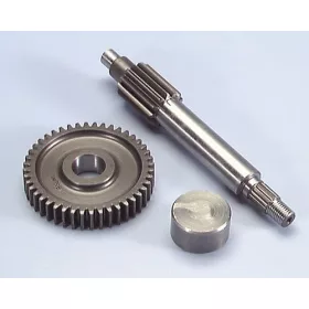 Polini primer végáttétel (13/44) (Minarelli)