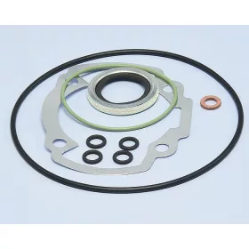 Polini Sport tömítésszett (Peugeot LC) (P142.0149)