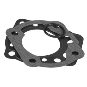 Polini Alu 80ccm tömítésszett (Derbi EBE/EBS)