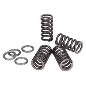 Polini Sport erősített kuplungrugó szett (Minarelli AM)