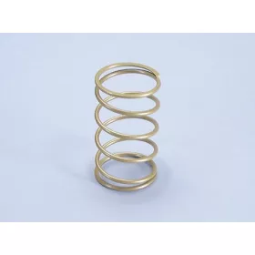   Polini Evolution kontrasztrugó (Piaggio - d=49,5mm - d=4mm/h=96mm)