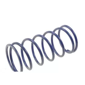 Polini Evolution kontrasztrugó (Morini)