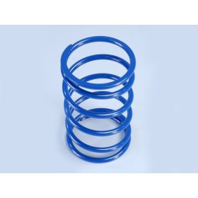 Polini Evolution kontrasztrugó (Piaggio 400-500 4T)