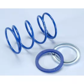   Polini Big Evolution kontrasztrugó (d=48,5mm / Többféle erõsségben!) - 4,4 mm