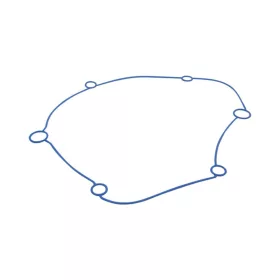   Polini Speciális O gyûrû Evolution kihajtásdeklihez (Minarelli)