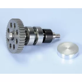 Polini Evolution speciális vízpumpa (Piaggio)