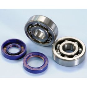   Polini High-Speed Kit csapágy és szimering szett (Minarelli AM)