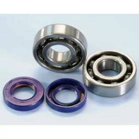   Polini High-Speed Kit csapágy és szimering szett (Derbi EBE /  EBS - Piaggio D50B0)