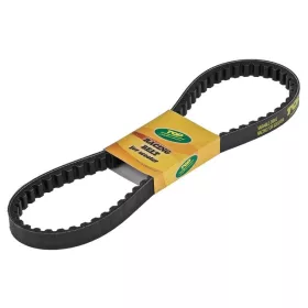 Top Performances TPR ékszíj (Rövid Minarelli)