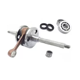 Top Performances Original fõtengely + csapágy (Piaggio)