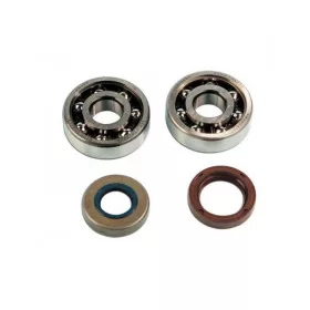   Top Performances fõtengely csapágy és szimering szett (SKF 6303 - Corteco - Minarelli AM6)